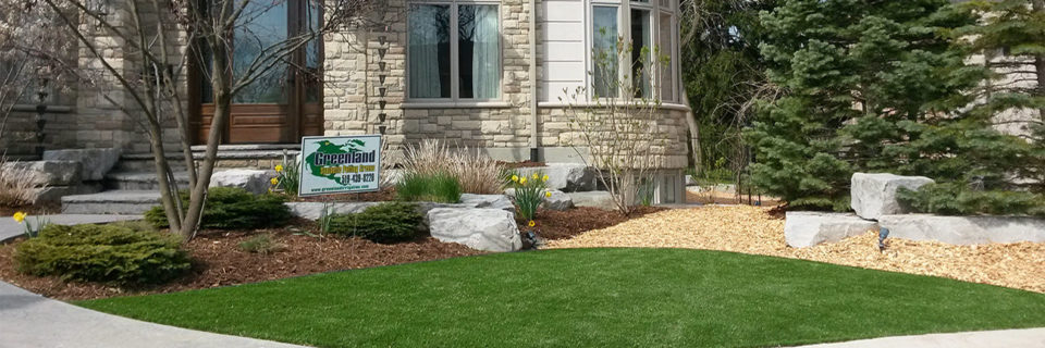 No Cutting, No Watering , No Fertilizing 