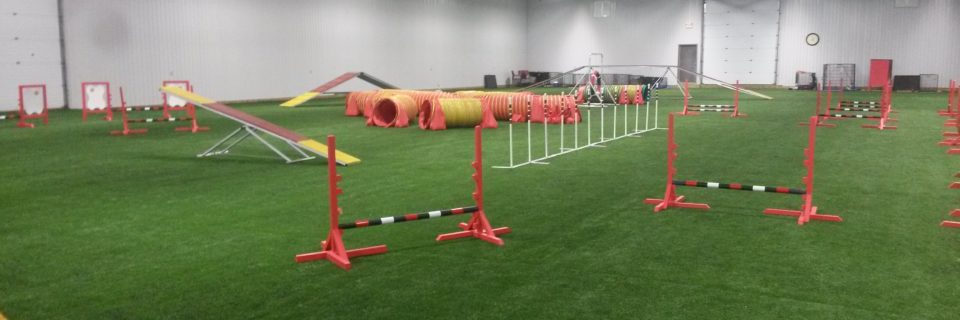 Pet Friendly Turf for all Applications 